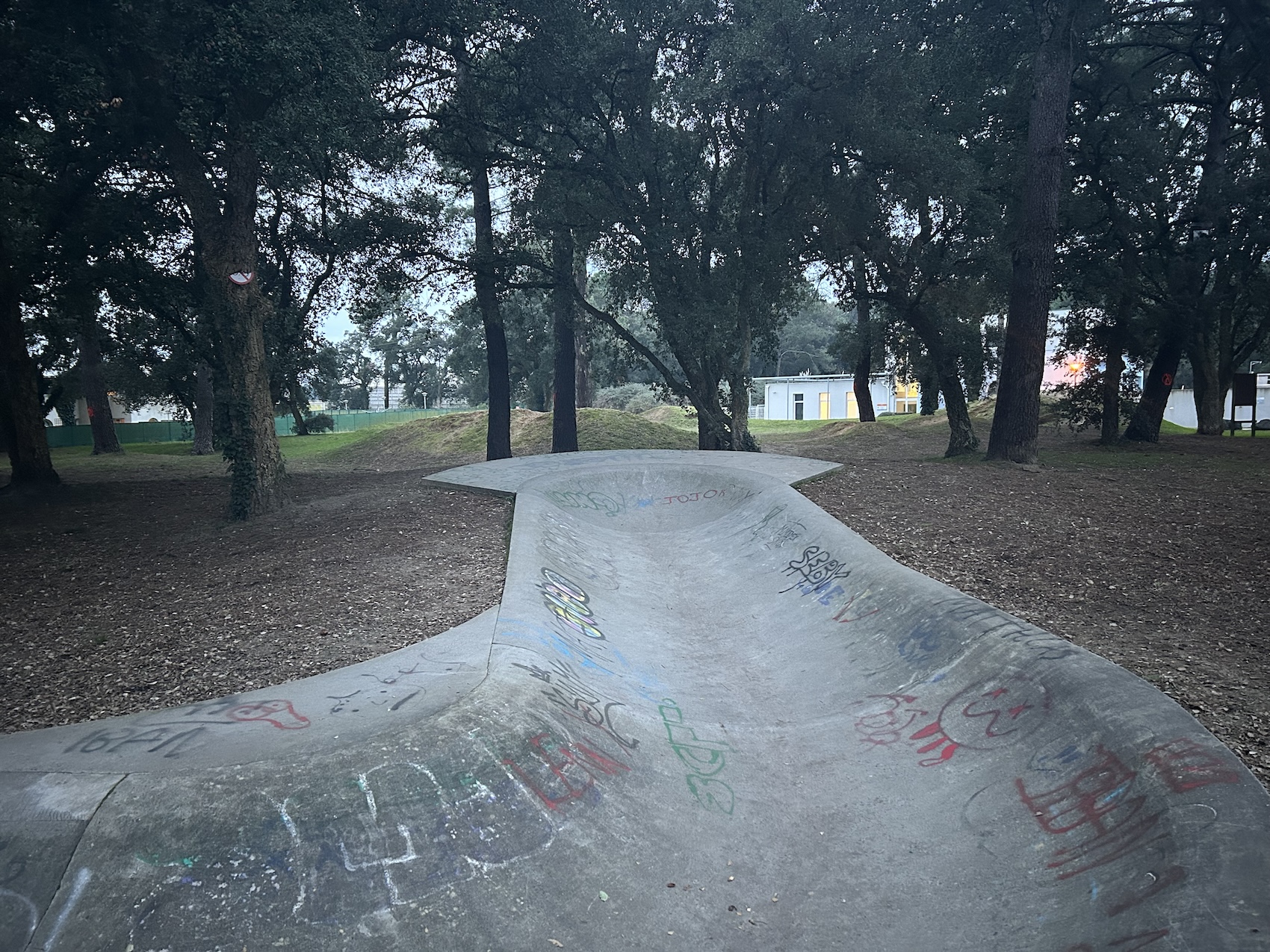 Tarnos skatepark